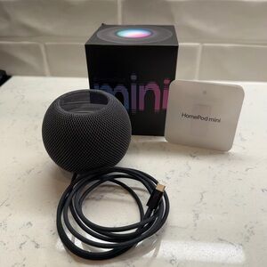 Apple HomePod Mini with Dark Gray Finish